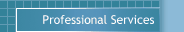 Professional Services